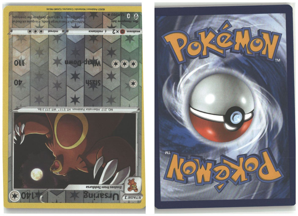 Front + Back scan