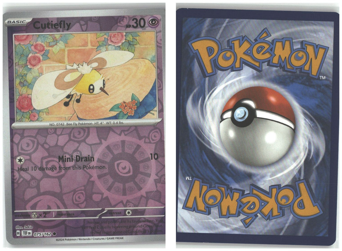 Front + Back scan