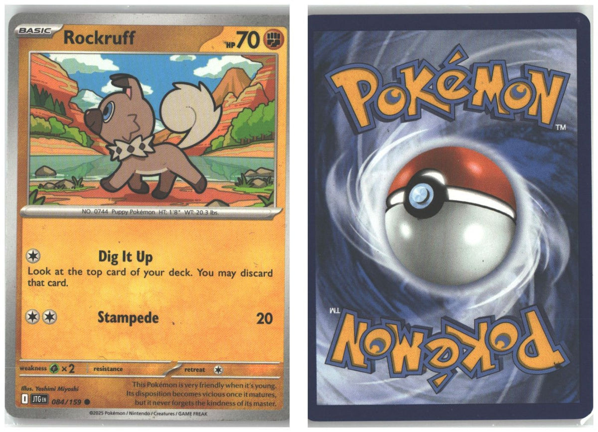 Front + Back scan