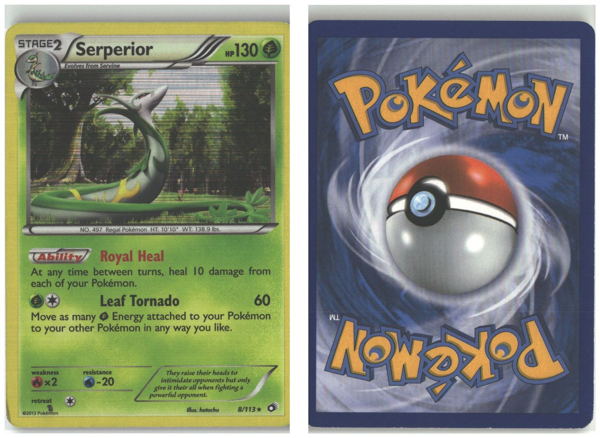 Front + Back scan