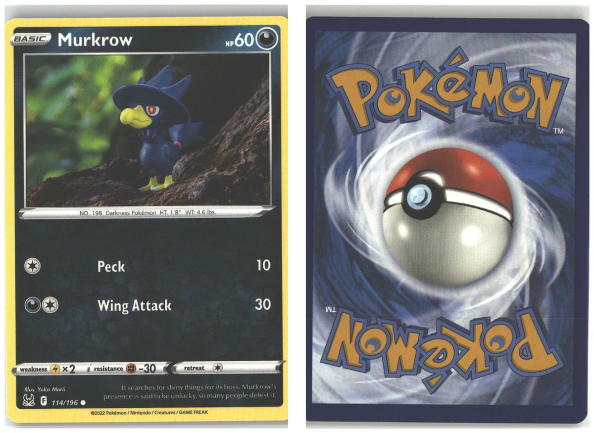 Front + Back scan