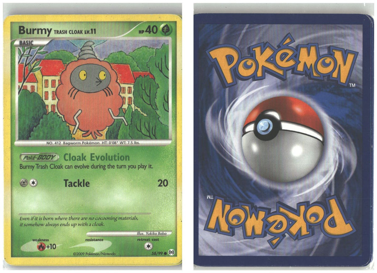 Front + Back scan