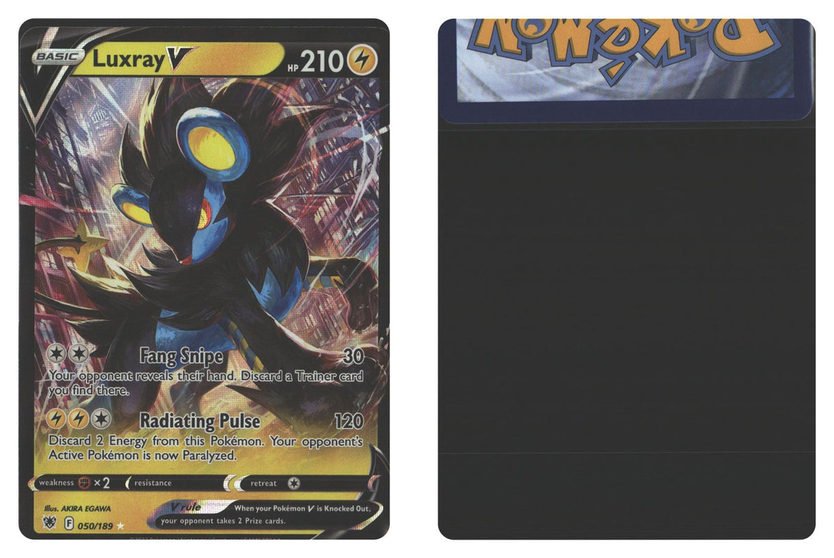 Front + Back scan