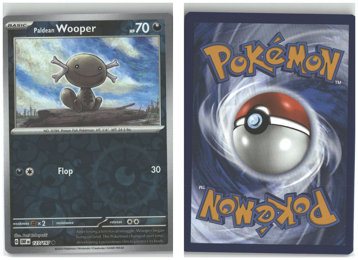 Front + Back scan