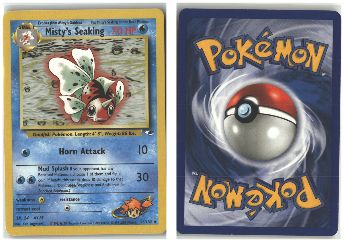 Front + Back scan