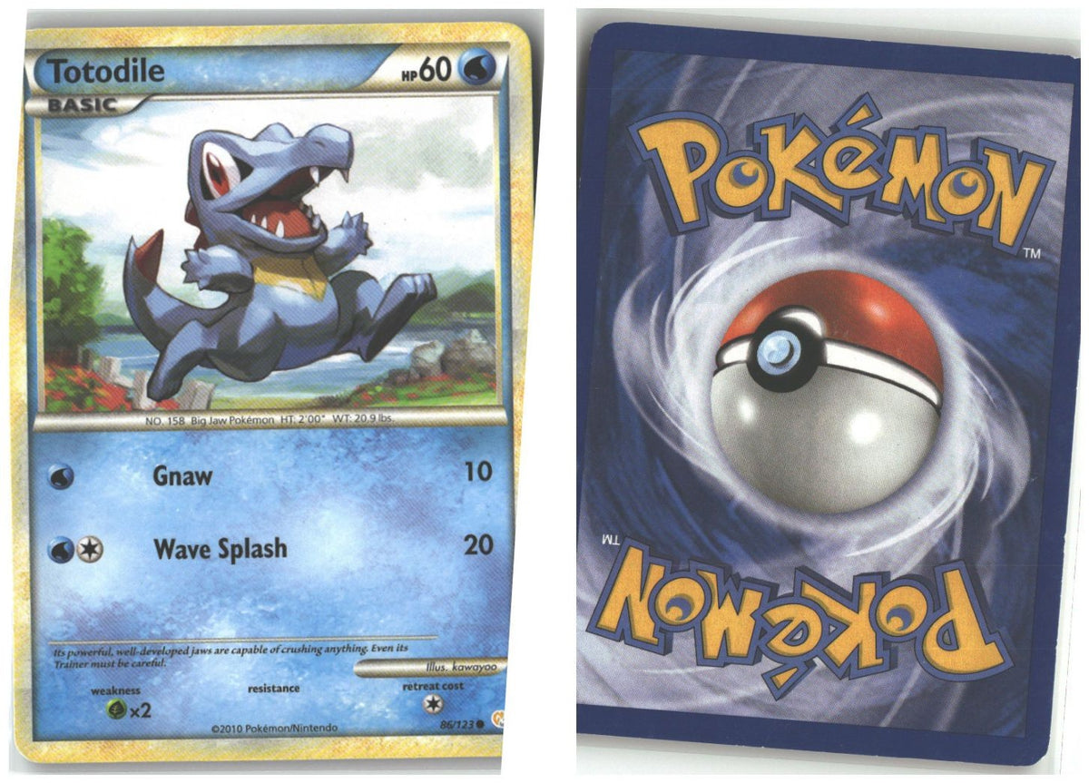 Front + Back scan