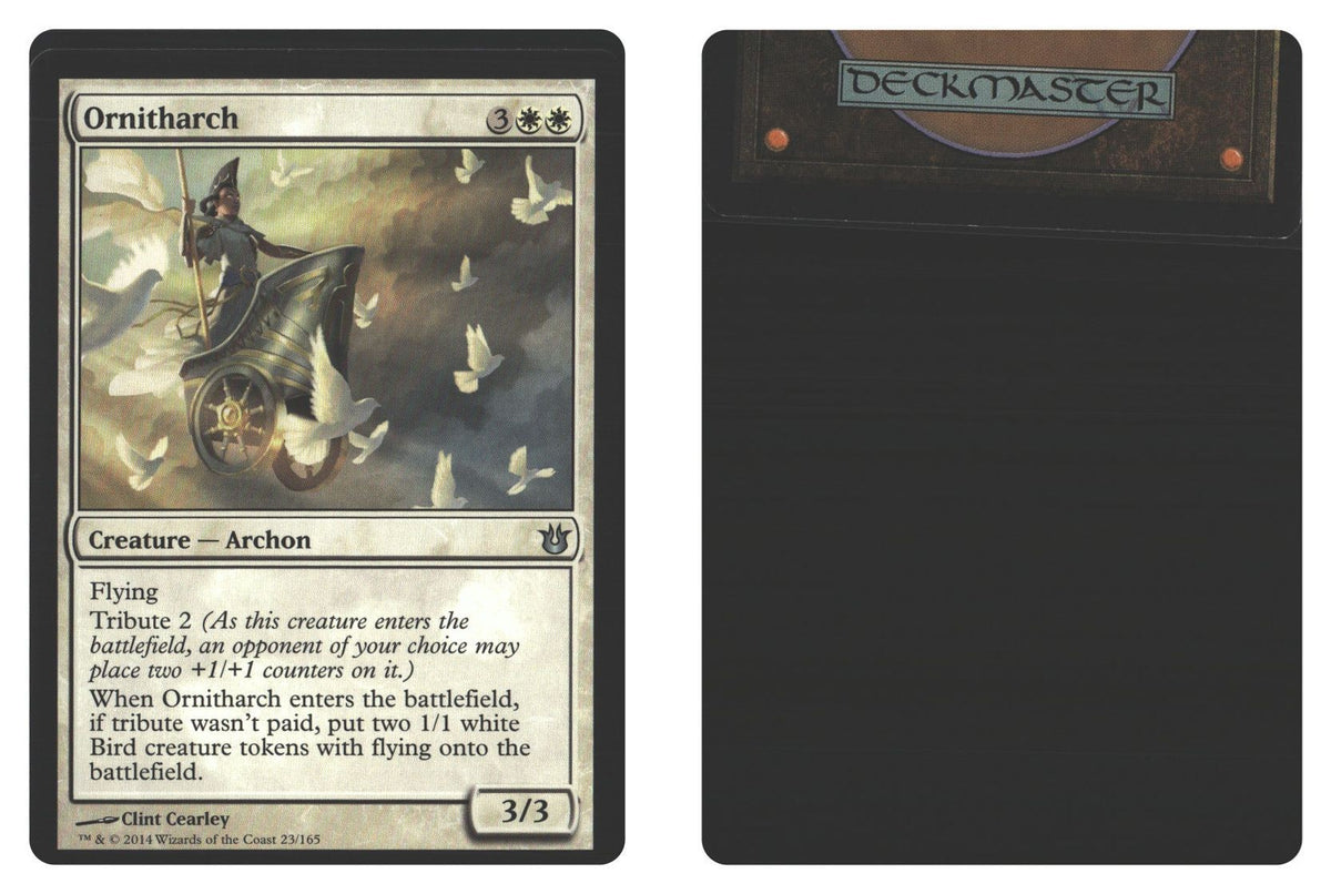 Front + Back scan