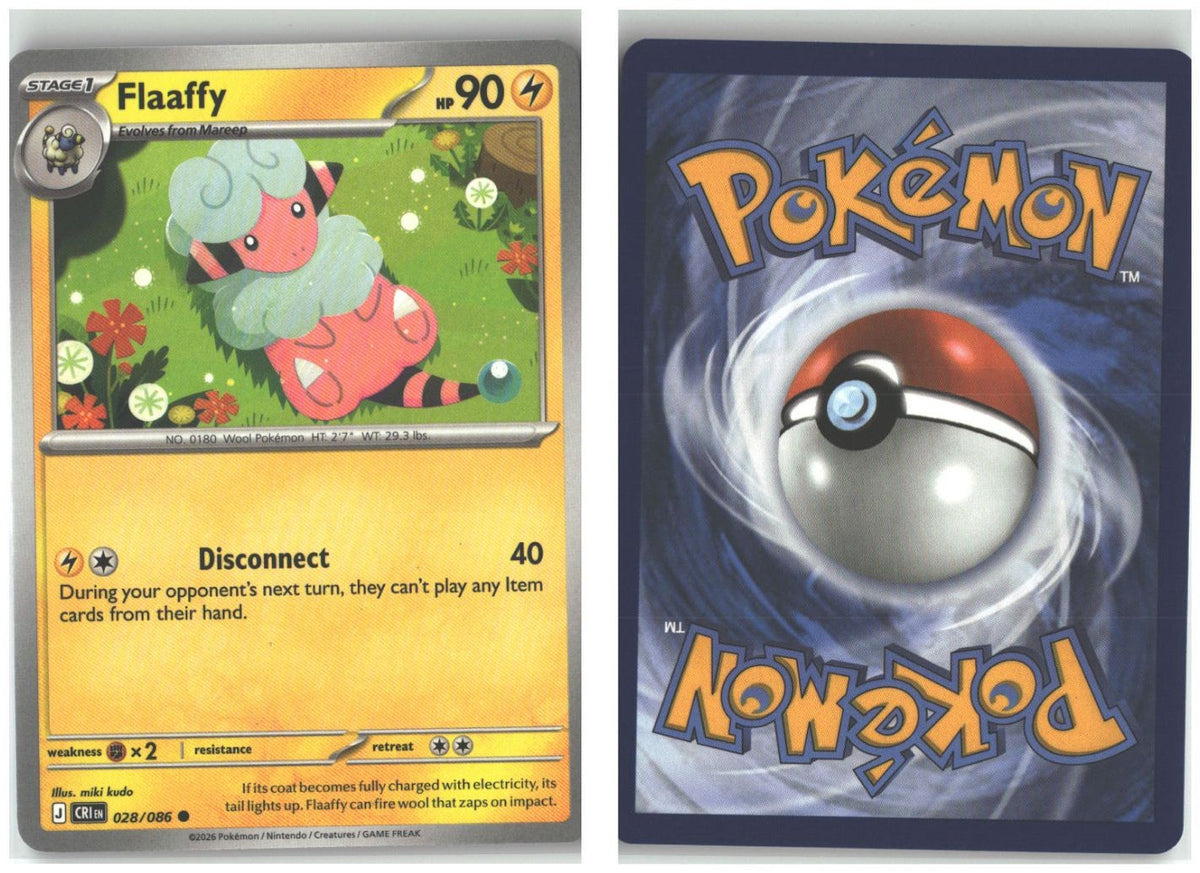Front + Back scan