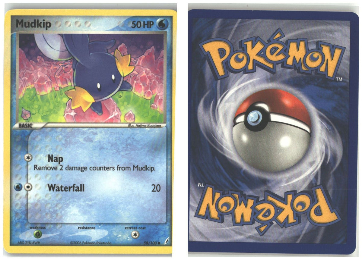 Front + Back scan
