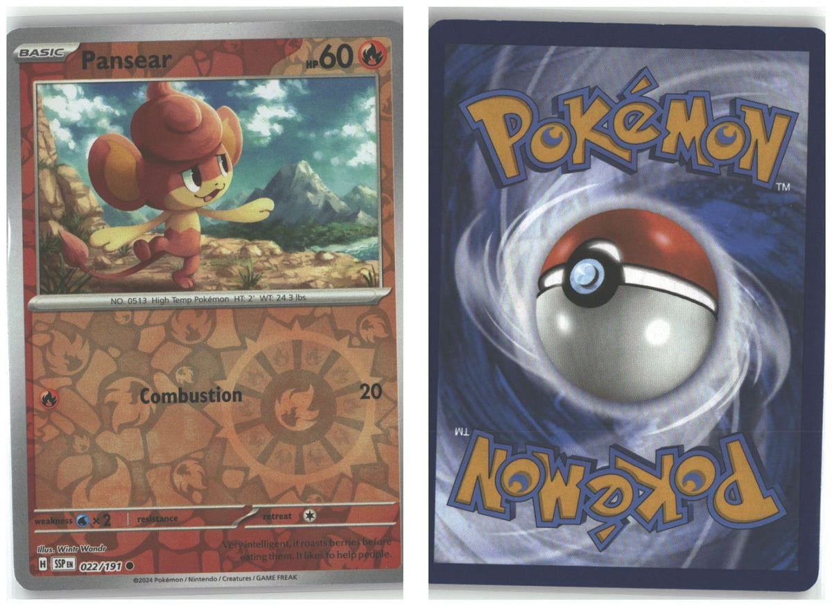 Front + Back scan