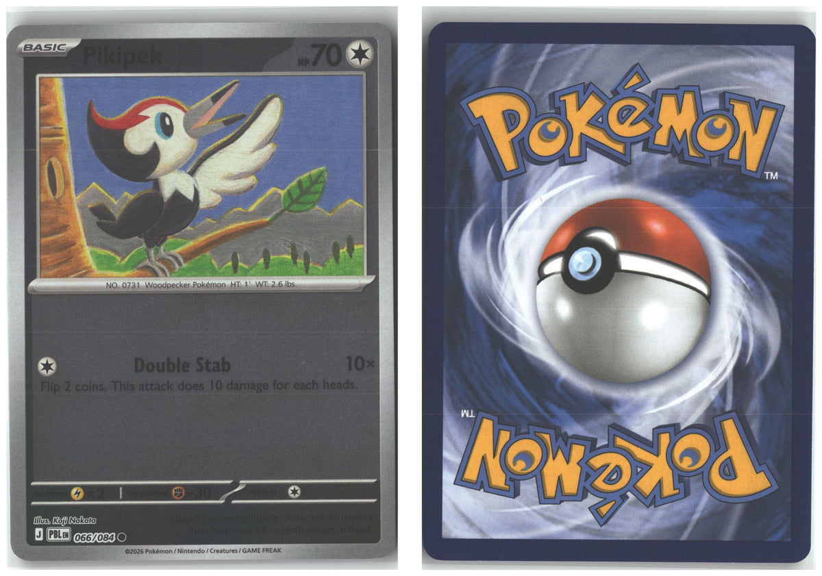 Front + Back scan