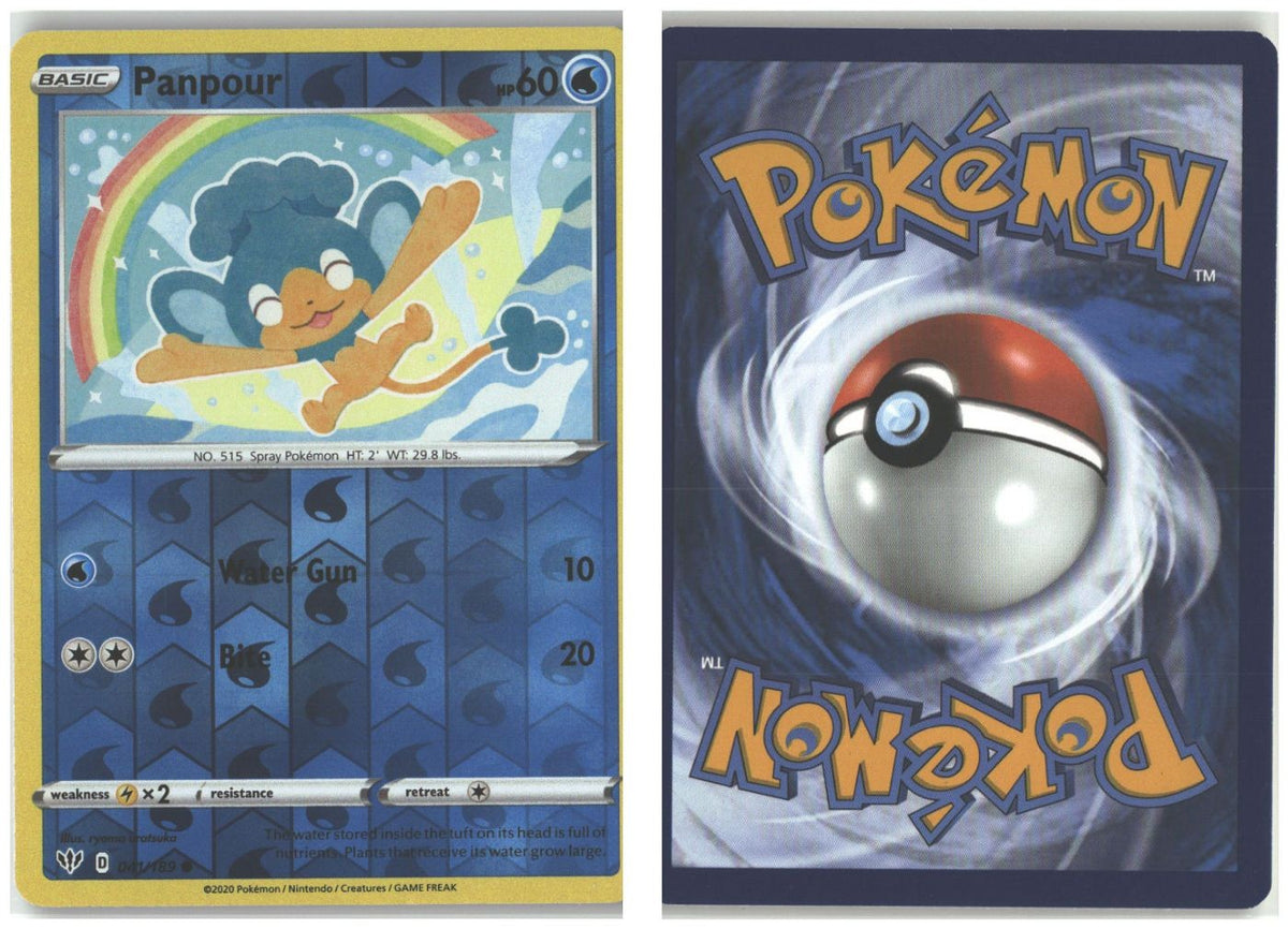 Front + Back scan