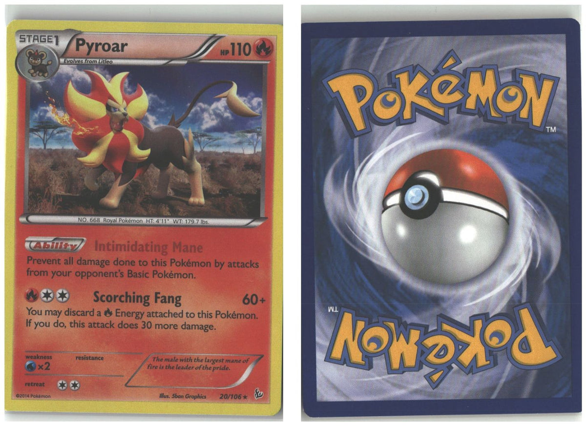 Front + Back scan