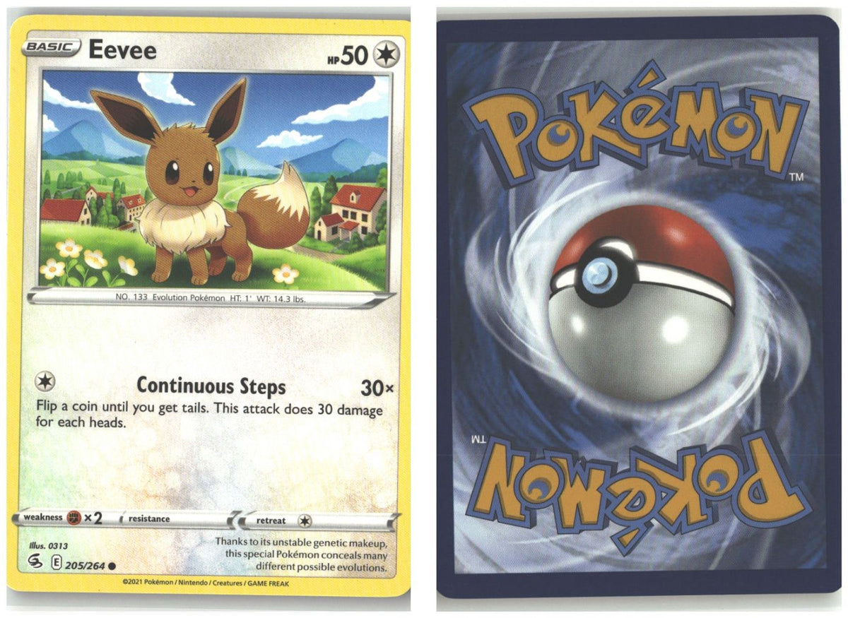 Front + Back scan