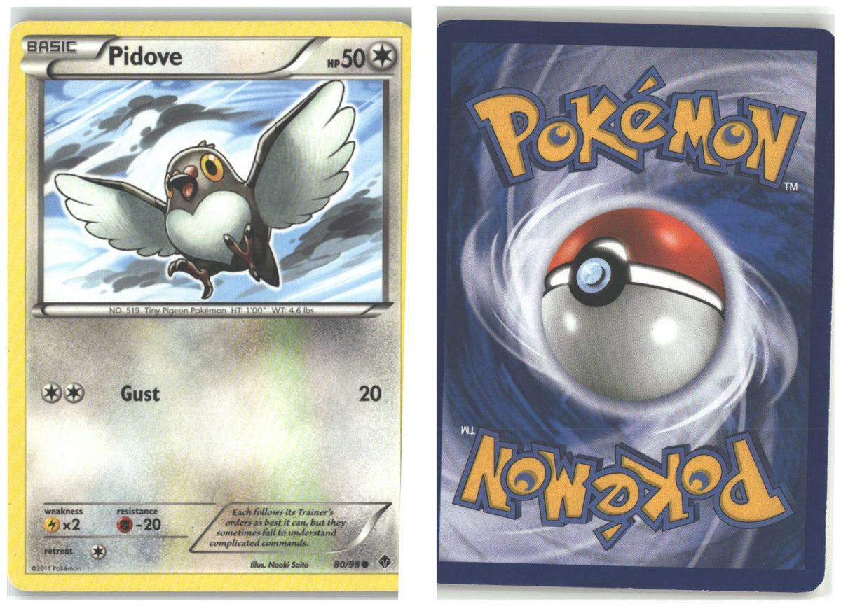 Front + Back scan