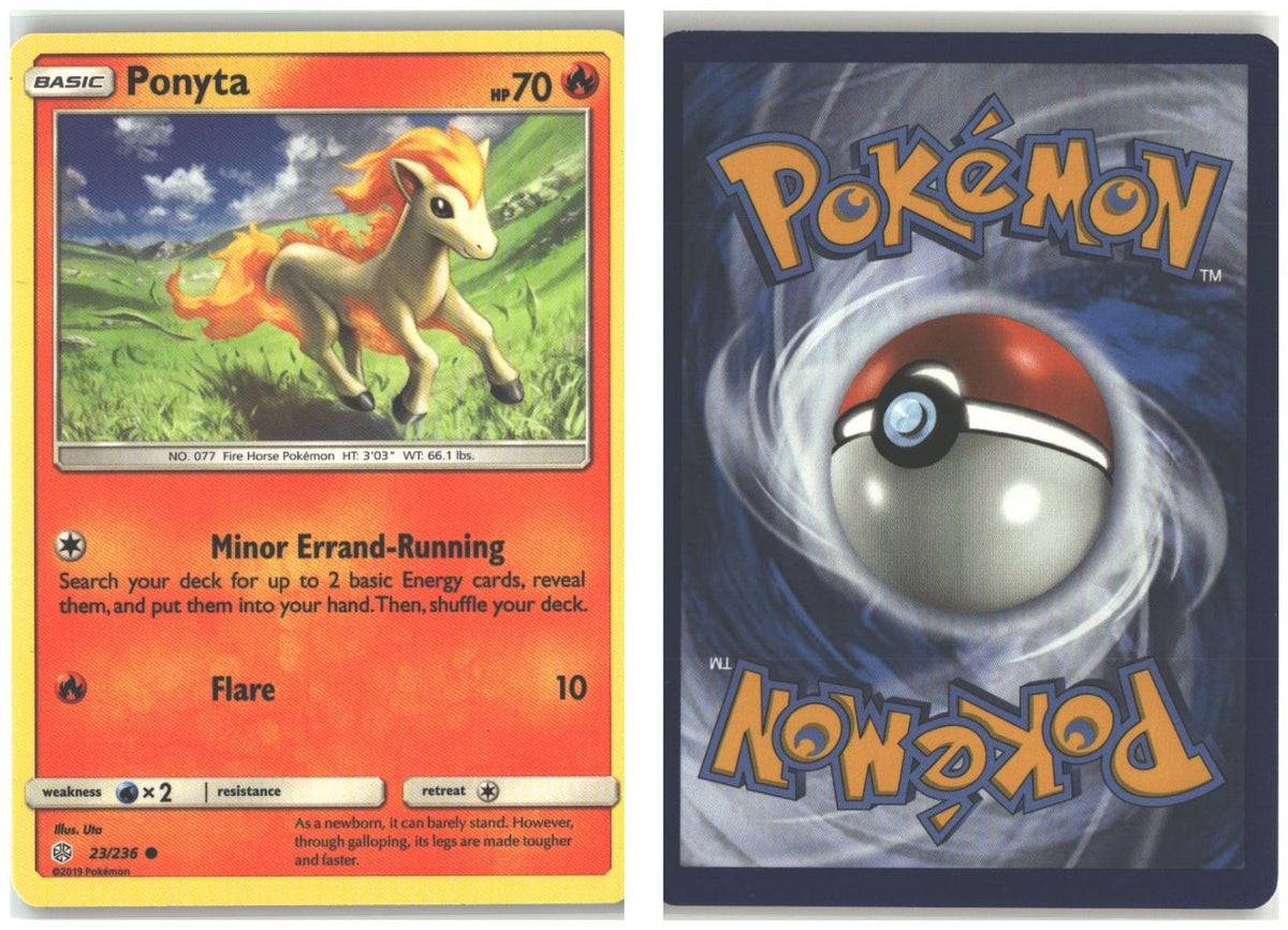 Front + Back scan