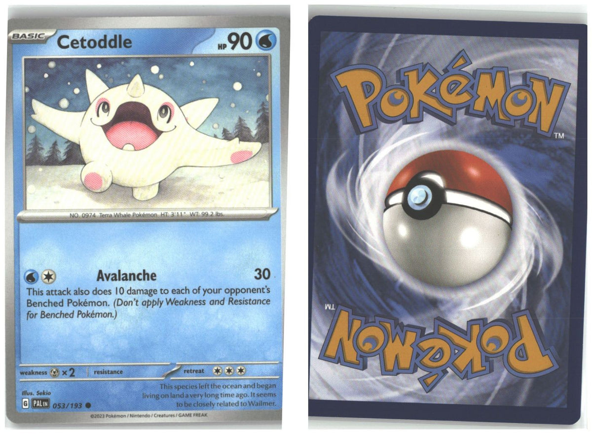 Front + Back scan