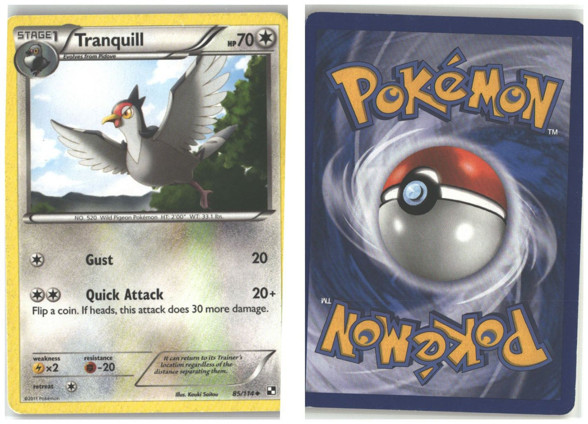 Front + Back scan
