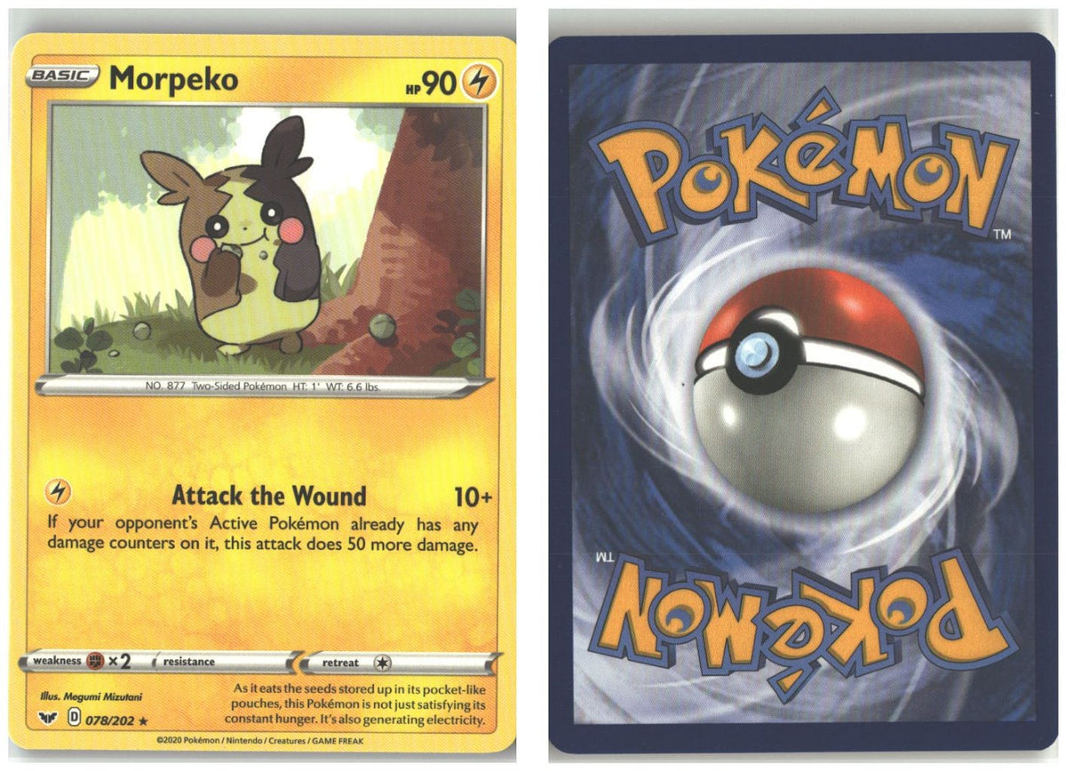 Front + Back scan