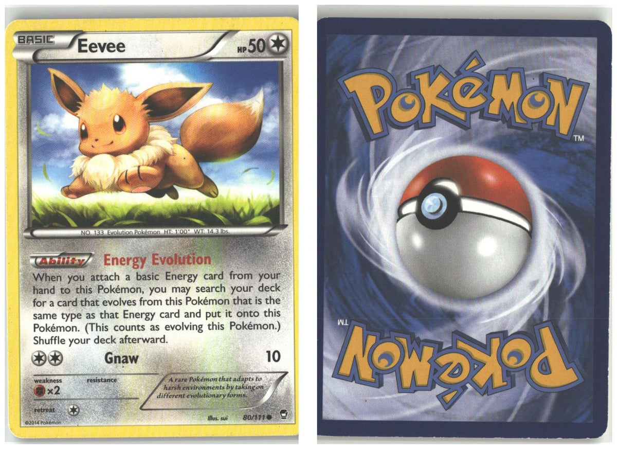 Front + Back scan