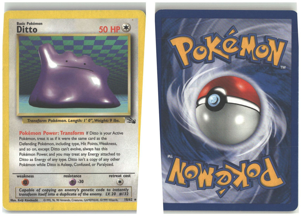 Front + Back scan