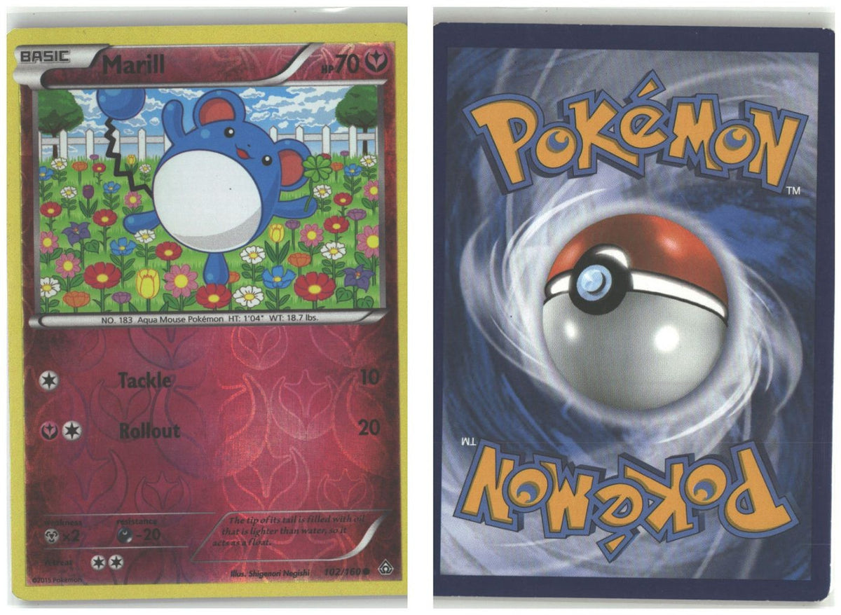 Front + Back scan