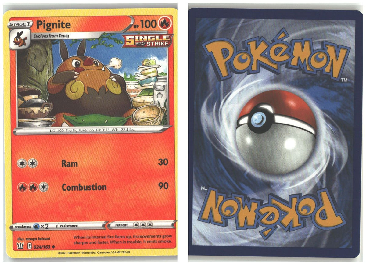 Front + Back scan