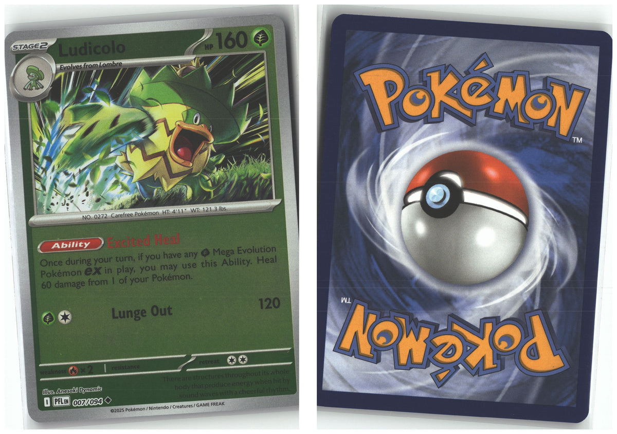 Front + Back scan