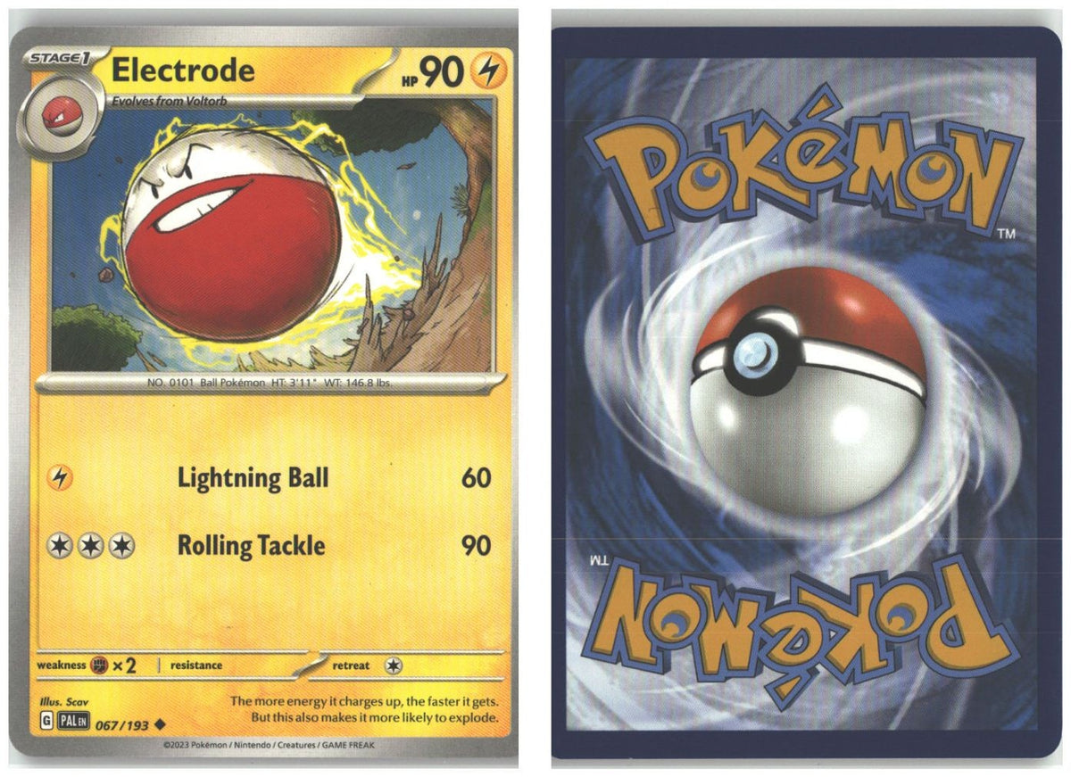 Front + Back scan