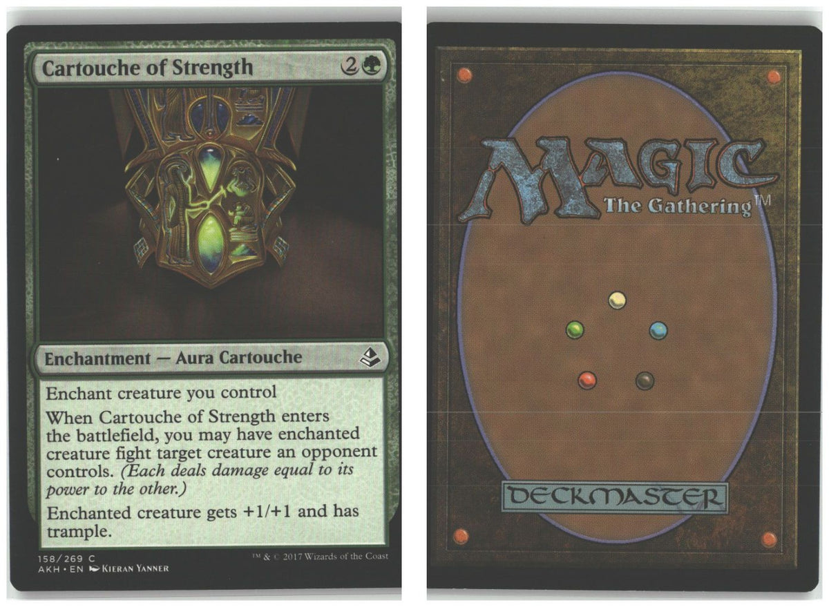 Front + Back scan
