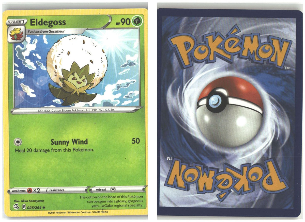 Front + Back scan