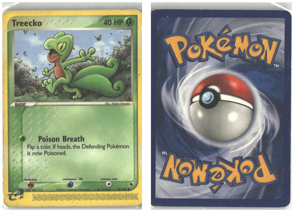 Front + Back scan