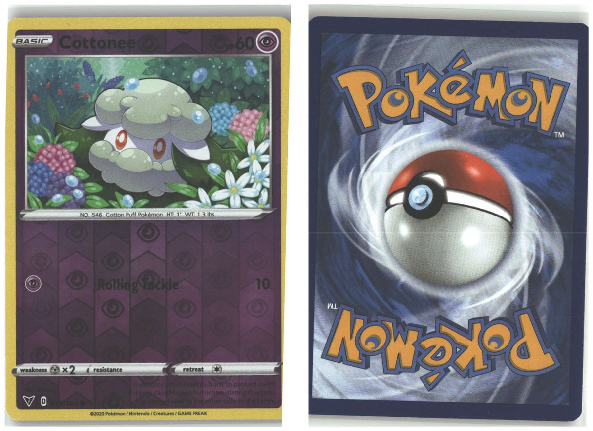 Front + Back scan