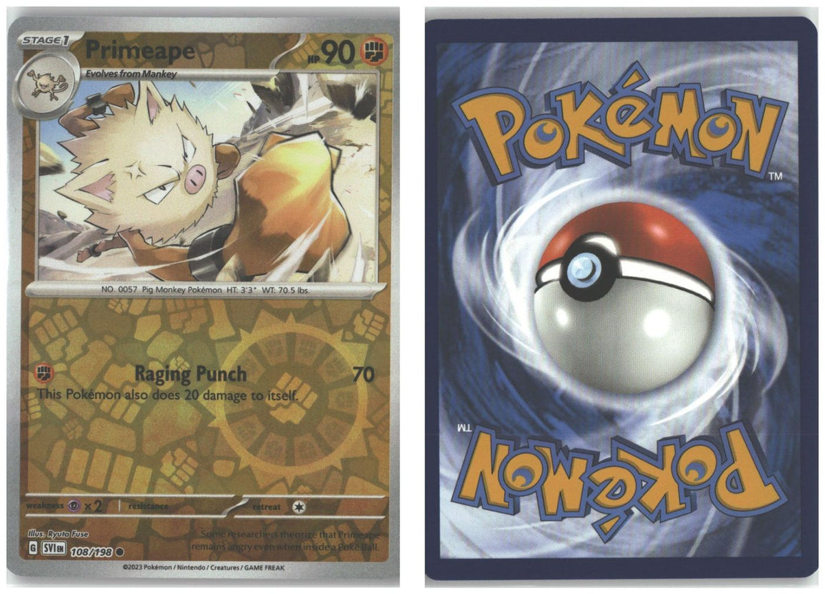 Front + Back scan