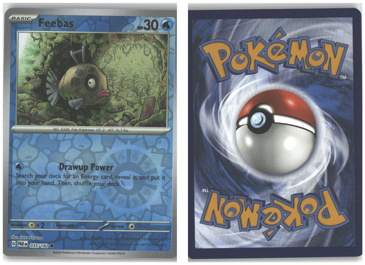 Front + Back scan