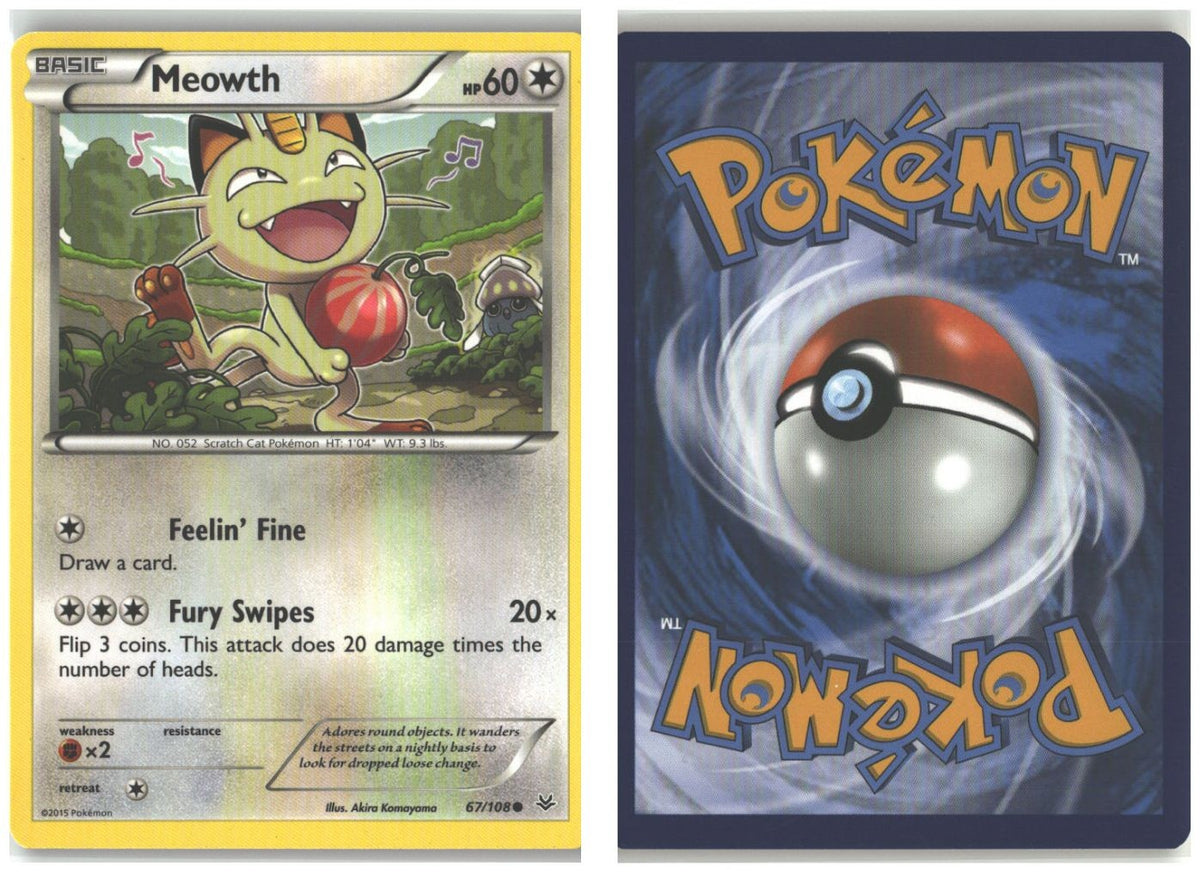 Front + Back scan