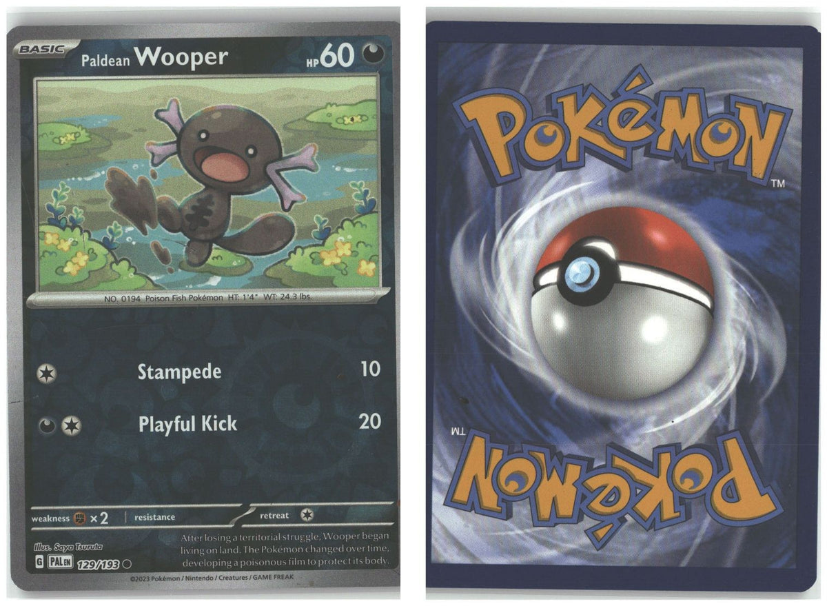 Front + Back scan