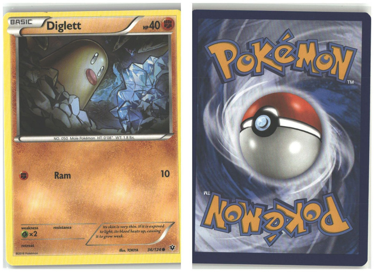 Front + Back scan
