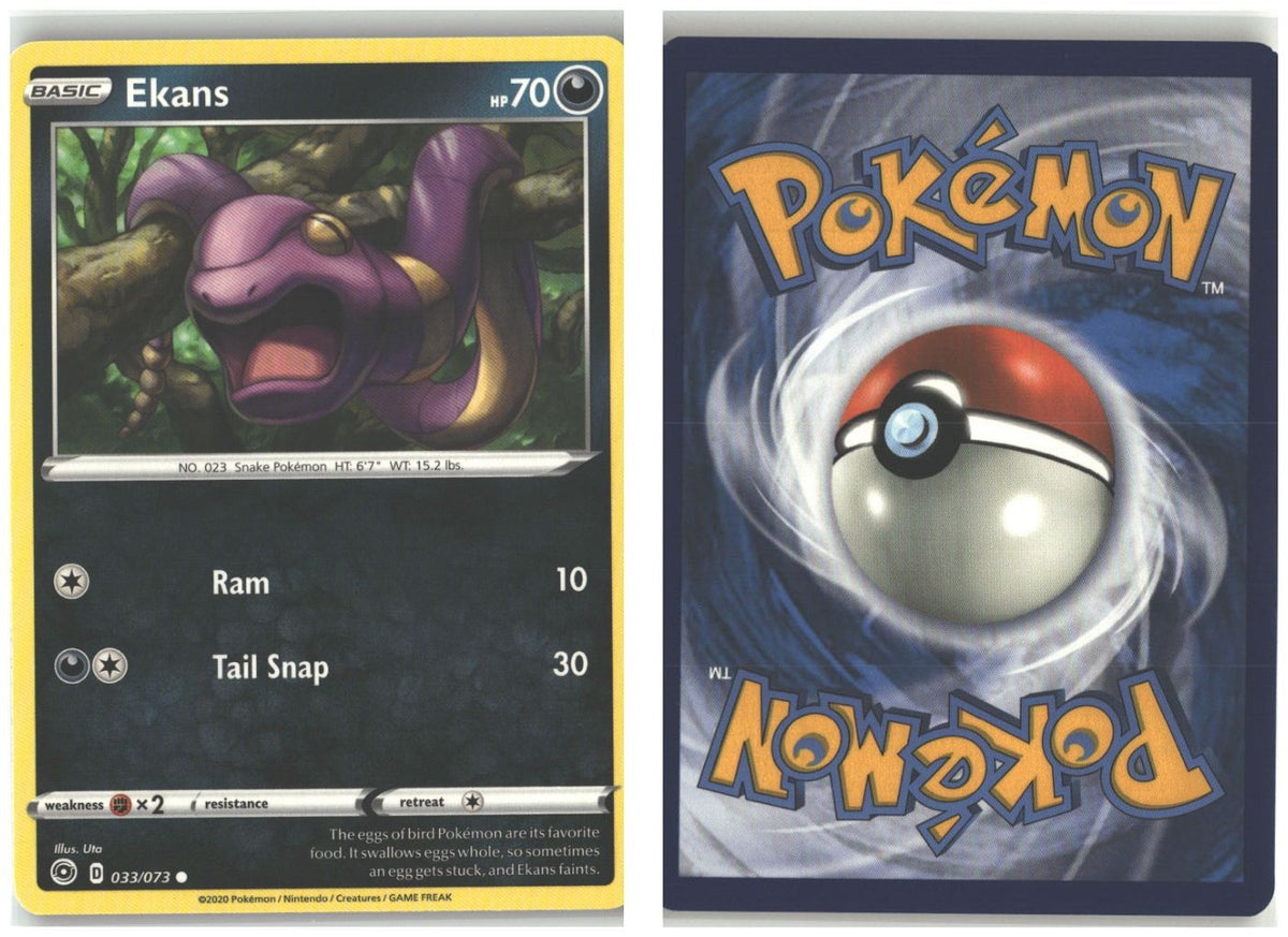 Front + Back scan