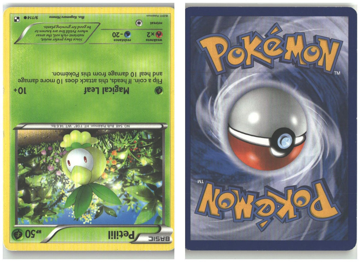 Front + Back scan