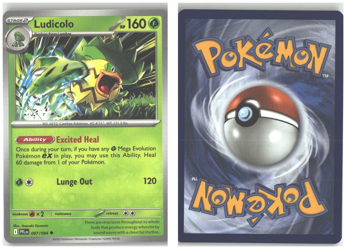 Front + Back scan