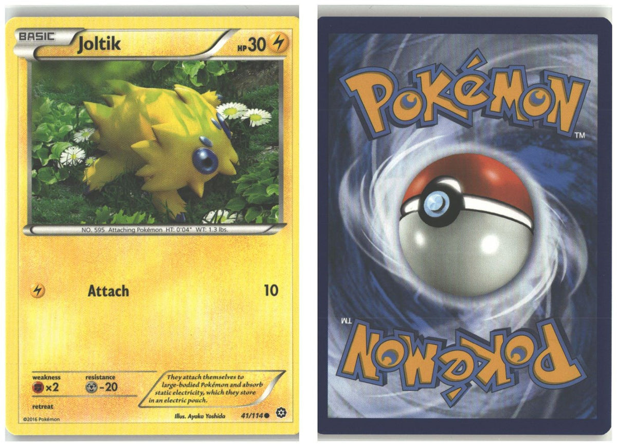 Front + Back scan