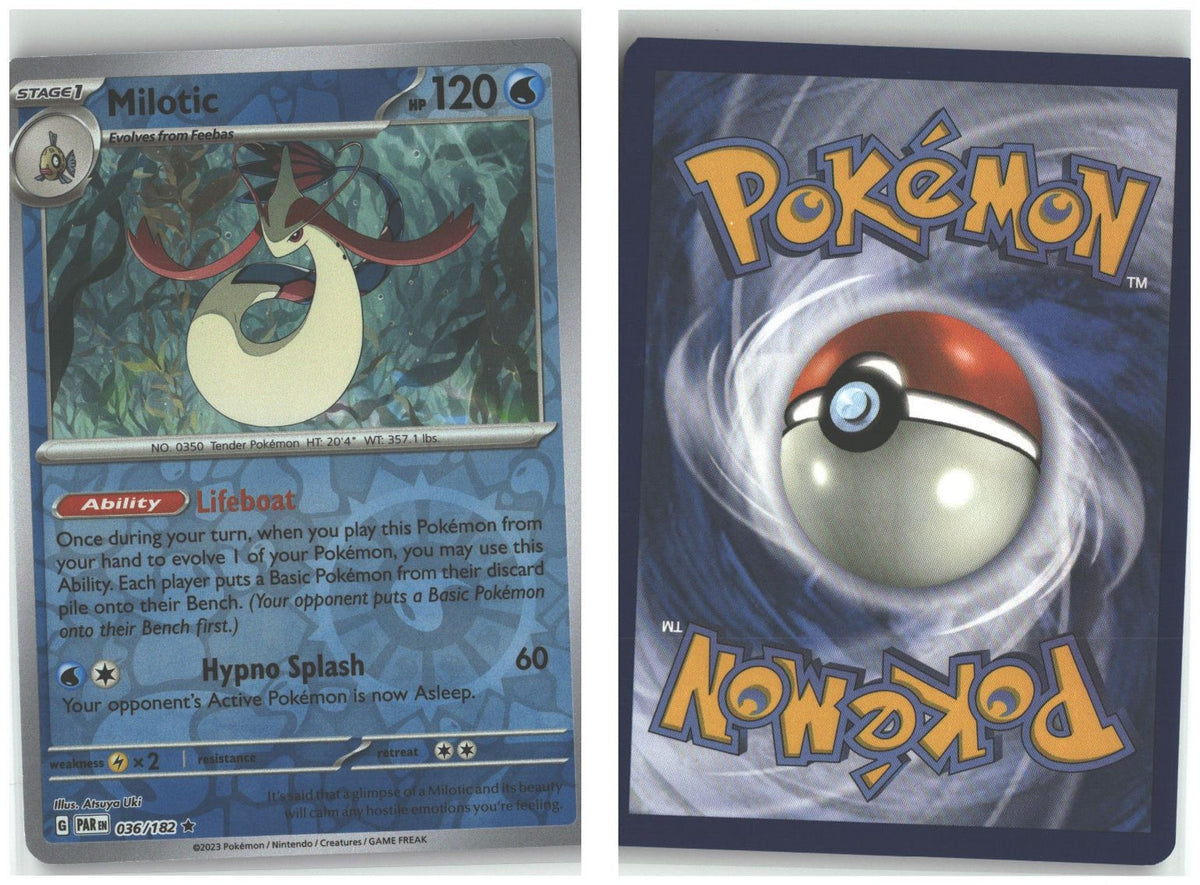 Front + Back scan