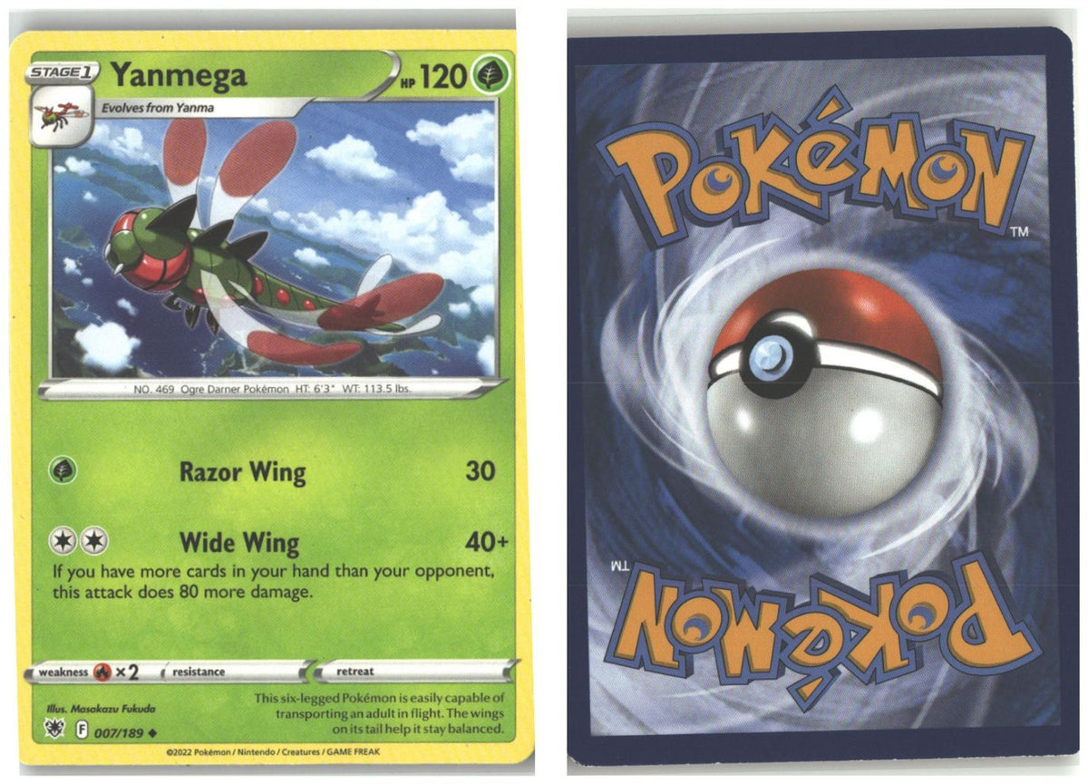 Front + Back scan