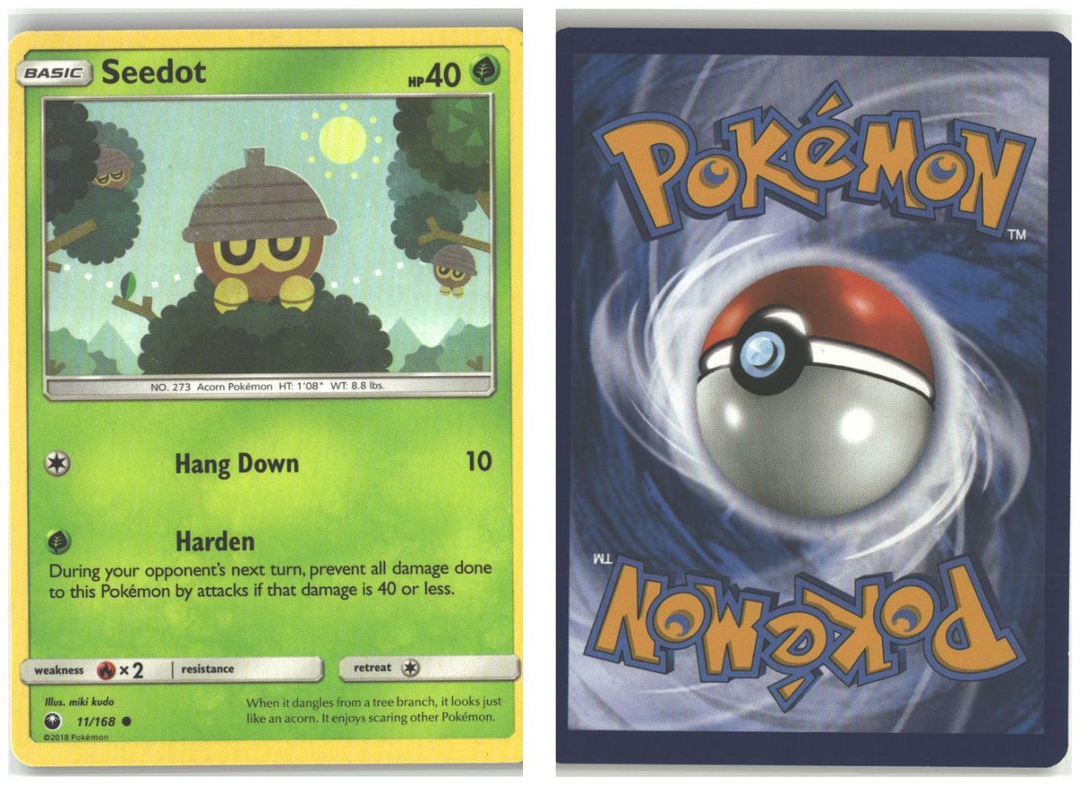 Front + Back scan