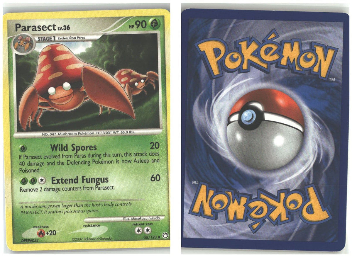 Front + Back scan