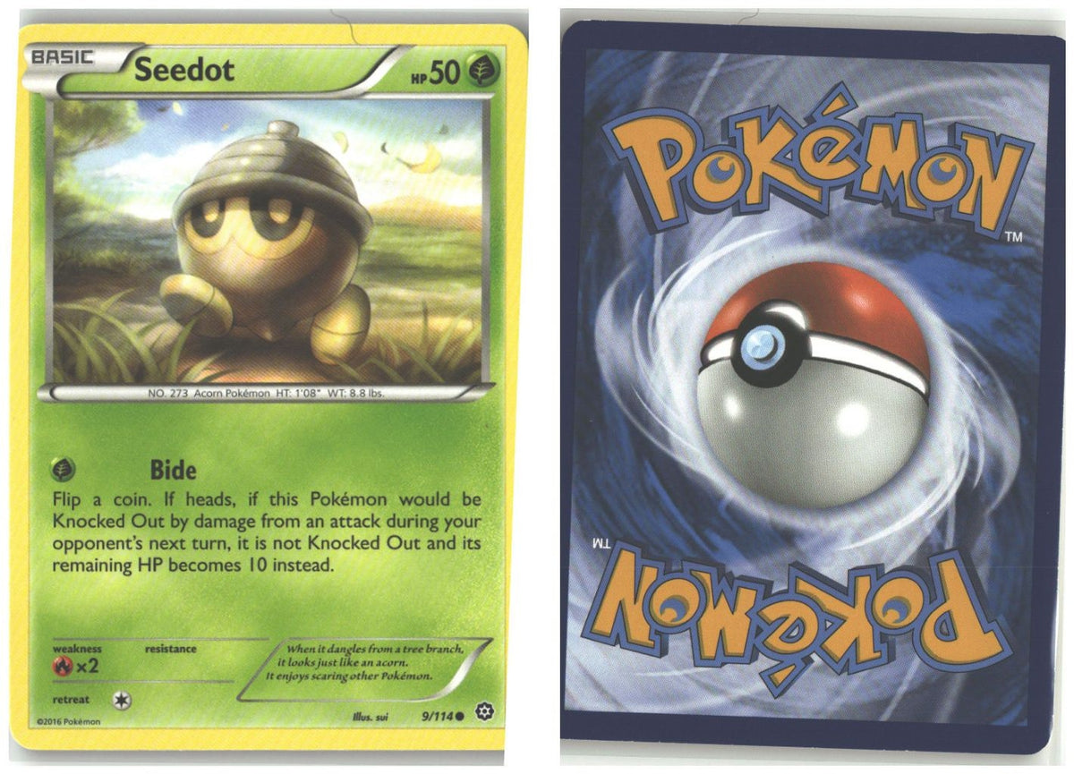 Front + Back scan