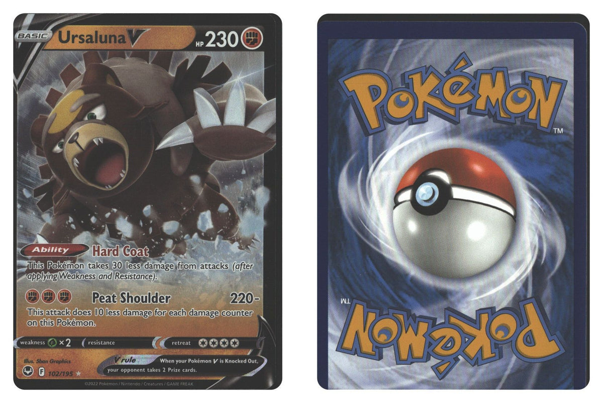 Front + Back scan