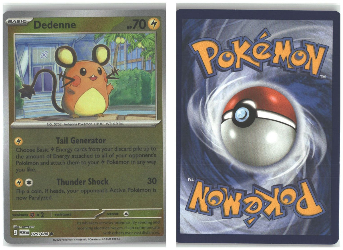 Front + Back scan