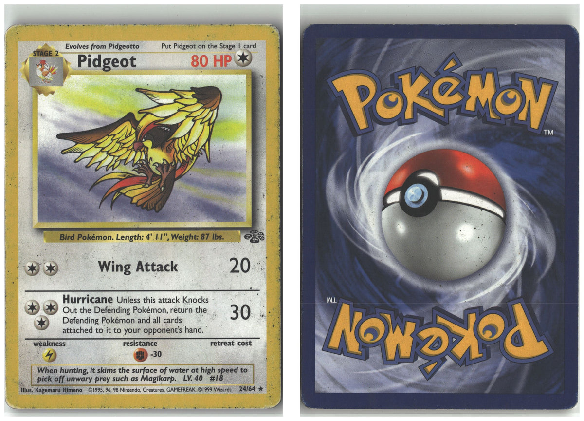 Front + Back scan